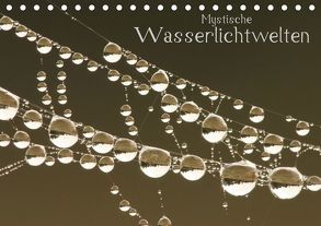 Mystische Wasserlichtwelten (Tischkalender 2019 DIN A5 quer) von Ashoki