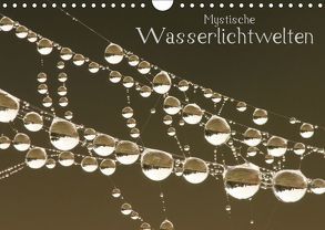 Mystische Wasserlichtwelten (Wandkalender 2019 DIN A4 quer) von Ashoki
