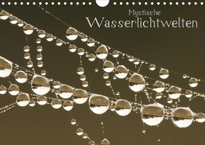 Mystische Wasserlichtwelten (Wandkalender 2020 DIN A4 quer) von Ashoki
