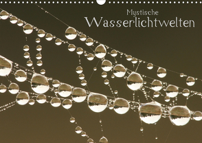 Mystische Wasserlichtwelten (Wandkalender 2021 DIN A3 quer) von Ashoki