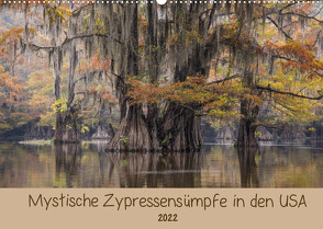 Mystische ZypressensümpfeAT-Version (Wandkalender 2022 DIN A2 quer) von Jordan,  Sonja