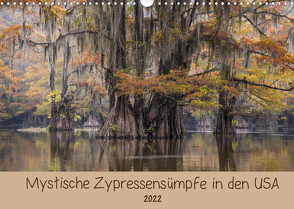 Mystische ZypressensümpfeAT-Version (Wandkalender 2022 DIN A3 quer) von Jordan,  Sonja