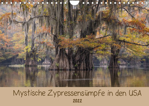 Mystische ZypressensümpfeAT-Version (Wandkalender 2022 DIN A4 quer) von Jordan,  Sonja