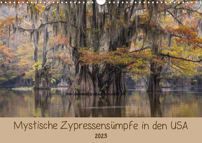 Mystische ZypressensümpfeAT-Version (Wandkalender 2023 DIN A3 quer) von Jordan,  Sonja