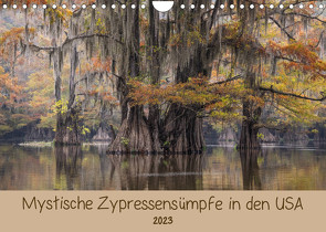 Mystische ZypressensümpfeAT-Version (Wandkalender 2023 DIN A4 quer) von Jordan,  Sonja