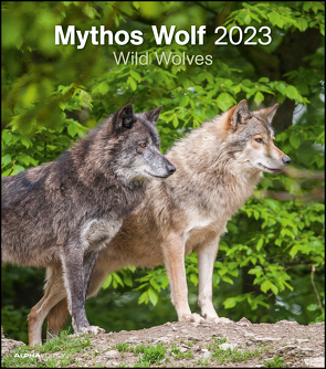 Mythos Wolf 2023 – Foto-Kalender – Wand-Kalender – 30×34