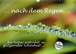 … nach dem Regen … die Natur erstrahlt in glitzernder Schönheit (Wandkalender 2022 DIN A3 quer) von GUGIGEI