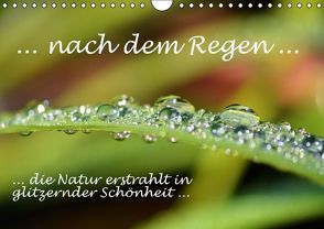 … nach dem Regen … die Natur erstrahlt in glitzernder Schönheit (Wandkalender immerwährend DIN A4 quer) von GUGIGEI,  k.A.