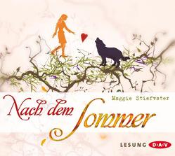 Nach dem Sommer von Braunmiller,  Annina, Felder,  Max, Stiefvater,  Maggie