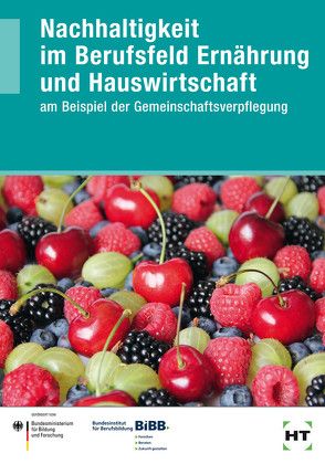 Nachhaltigkeit im Berufsfeld Ernährung und Hauswirtschaft von Mattausch,  Nancy, Prof. Dr. Kettschau,  Irmhild