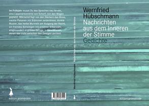 Nachrichten aus dem Inneren der Stimme von Fritsche,  Christian, Huebschmann,  Wernfried, Ouanounou,  Georges