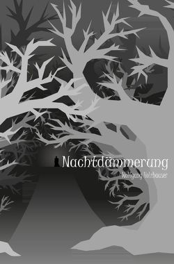 Nachtdämmerung von Holzhäuser,  Wolfgang