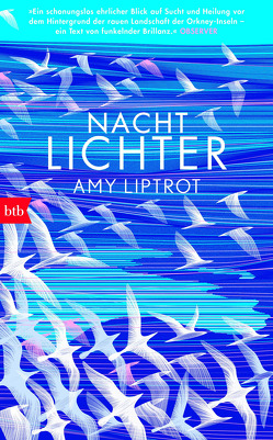 Nachtlichter von Liptrot,  Amy, Münch,  Bettina