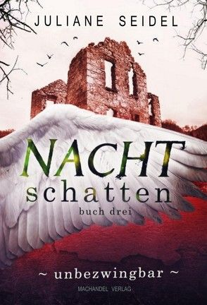 Nachtschatten 3 : Unbezwingbar von Seidel,  Juliane