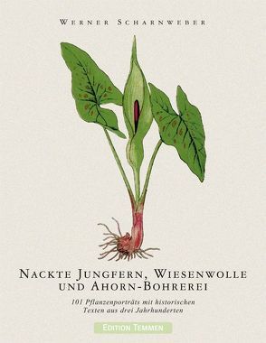 Nackte Jungfern, Wiesenwolle und Ahorn-Bohrerei von Scharnweber,  Werner