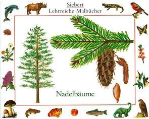 Nadelbäume von Eigner,  Erwin, Heisters,  Heinrich