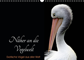 Näher an die Vogelwelt – Exotische Vögel aus aller Welt (Wandkalender 2021 DIN A3 quer) von // www.card-photo.com,  Card-Photo