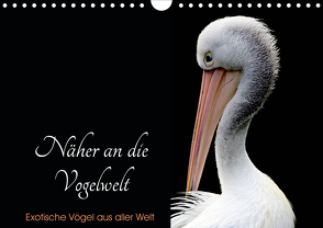 Näher an die Vogelwelt – Exotische Vögel aus aller Welt (Wandkalender 2021 DIN A4 quer) von // www.card-photo.com,  Card-Photo