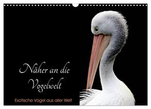 Näher an die Vogelwelt – Exotische Vögel aus aller Welt (Wandkalender 2024 DIN A3 quer), CALVENDO Monatskalender von // www.card-photo.com,  Card-Photo