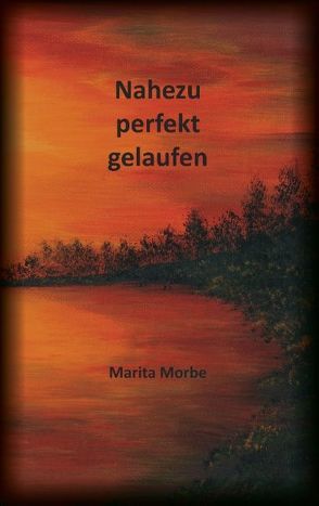 Nahezu perfekt gelaufen von Morbe,  Marita