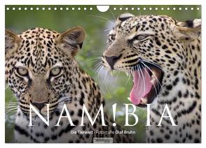 Namibia – Die Tierwelt (Wandkalender 2024 DIN A4 quer), CALVENDO Monatskalender von Bruhn,  Olaf