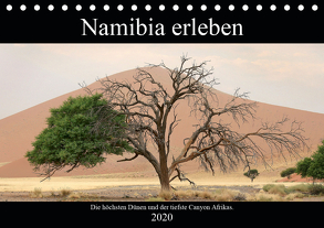 Namibia erleben (Tischkalender 2020 DIN A5 quer) von Berns,  Nicolette