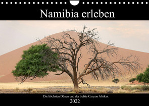 Namibia erleben (Wandkalender 2022 DIN A4 quer) von Berns,  Nicolette