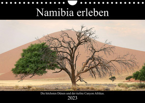 Namibia erleben (Wandkalender 2023 DIN A4 quer) von Berns,  Nicolette