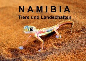 Namibia – Tiere und Landschaften (Posterbuch DIN A3 quer) von T,  E