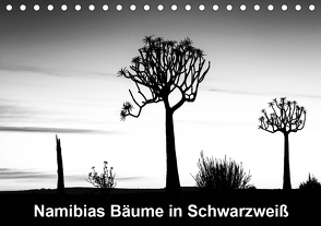 Namibias Bäume in Schwarzweiß (Tischkalender 2021 DIN A5 quer) von Berger,  Anne