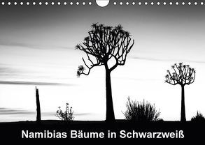Namibias Bäume in Schwarzweiß (Wandkalender 2018 DIN A4 quer) von Berger,  Anne