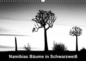 Namibias Bäume in Schwarzweiß (Wandkalender 2019 DIN A3 quer) von Berger,  Anne