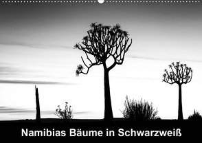 Namibias Bäume in Schwarzweiß (Wandkalender 2020 DIN A2 quer) von Berger,  Anne