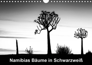 Namibias Bäume in Schwarzweiß (Wandkalender 2020 DIN A4 quer) von Berger,  Anne