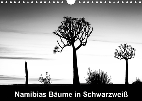 Namibias Bäume in Schwarzweiß (Wandkalender 2021 DIN A4 quer) von Berger,  Anne