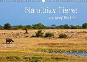 Namibias Tiere: von groß bis klein (Wandkalender 2018 DIN A3 quer) von Paszkowsky,  Ingo