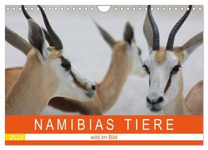 Namibias Tiere – wild im Bild (Wandkalender 2024 DIN A4 quer), CALVENDO Monatskalender von Franke-Kunz,  Brigitte