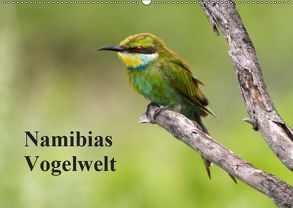 Namibias Vogelwelt (Wandkalender 2019 DIN A2 quer) von Voss,  Michael