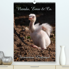 Nandu, Emu & Co. (Premium, hochwertiger DIN A2 Wandkalender 2023, Kunstdruck in Hochglanz) von Berg,  Martina