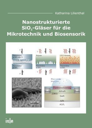 Nanostrukturierte SiO2-Gläser für die Mikrotechnik und Biosensorik von Lilienthal,  Katharina