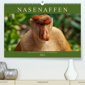 Nasenaffen von Borneo (Premium, hochwertiger DIN A2 Wandkalender 2023, Kunstdruck in Hochglanz) von Wünsche,  Arne