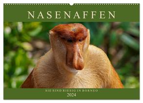 Nasenaffen von Borneo (Wandkalender 2024 DIN A2 quer), CALVENDO Monatskalender von Wünsche,  Arne