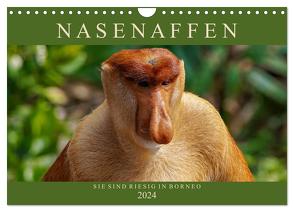 Nasenaffen von Borneo (Wandkalender 2024 DIN A4 quer), CALVENDO Monatskalender von Wünsche,  Arne