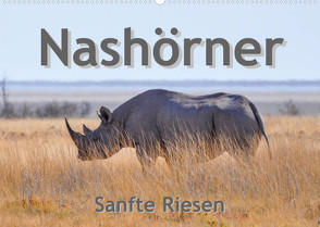 Nashörner – Sanfte Riesen (Wandkalender 2023 DIN A2 quer) von Styppa,  Robert