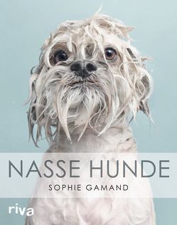 Nasse Hunde von Gamand,  Sophie