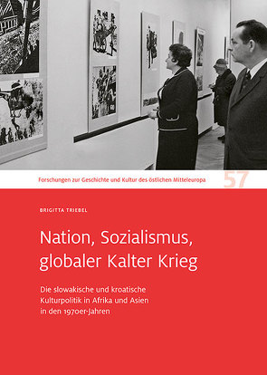 Nation, Sozialismus, globaler Kalter Krieg von Triebel,  Brigitta