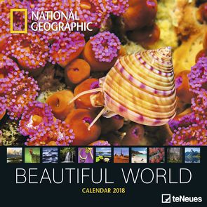 Beautiful World NG 2018