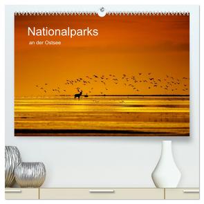 Nationalparks an der Ostsee (hochwertiger Premium Wandkalender 2024 DIN A2 quer), Kunstdruck in Hochglanz von Schröter,  Klaus-Herbert