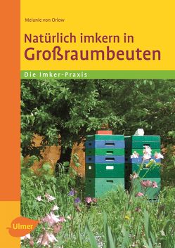 Natürlich imkern in Großraumbeuten von Orlow,  Dr. Melanie von