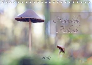 Natürliche Ästhetik (Tischkalender 2019 DIN A5 quer) von Flori0